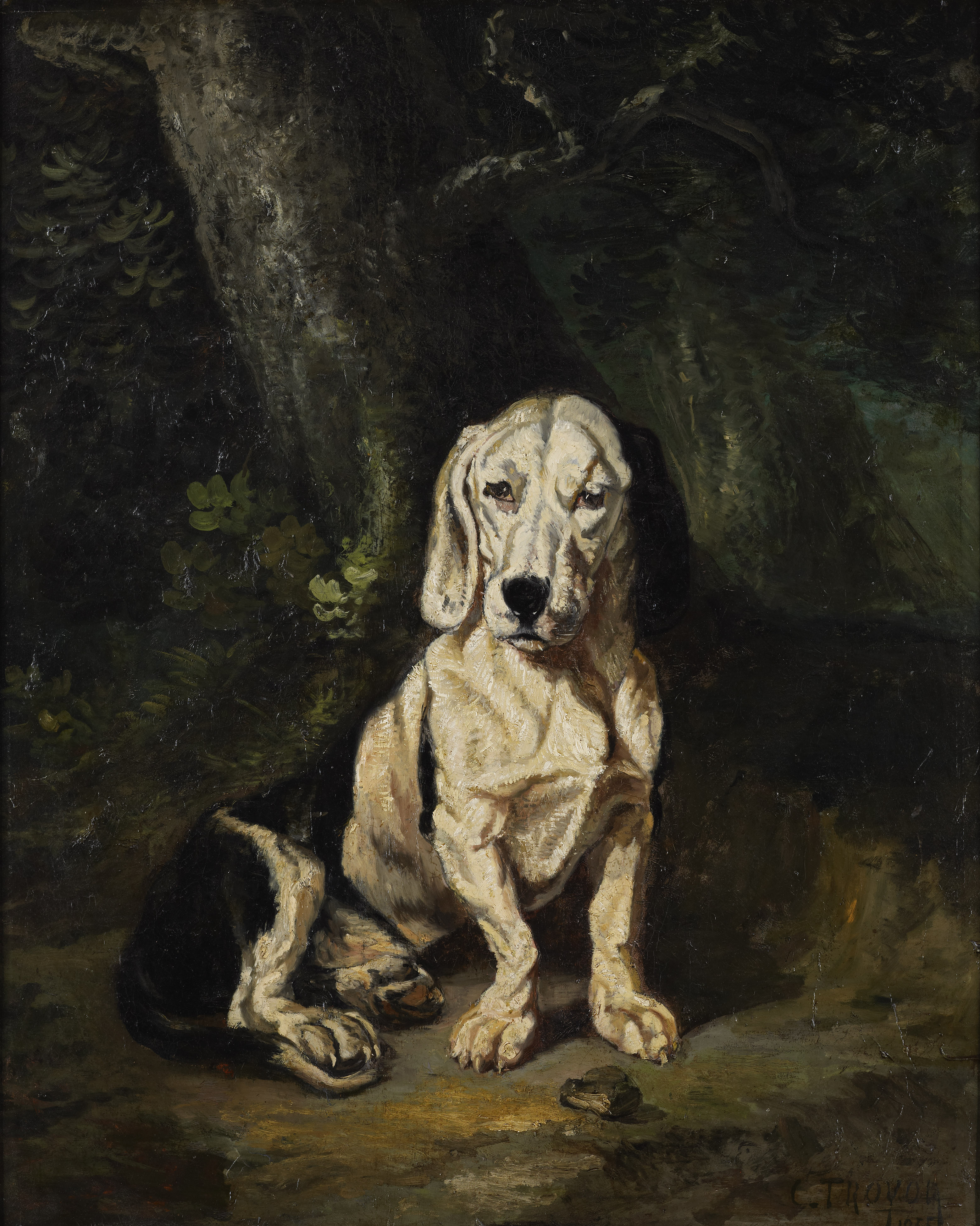 A seated basset hound, Constant Troyon